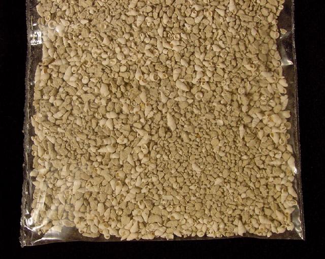 Schlmmprobe (Siebweite 0,5 cm) - Bild © FossNet FossilienStore